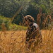 Jason Elder Photo 33