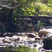 Albert Blaylock Photo 5