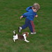 David Beagle Photo 35