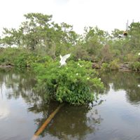 Deb Spence Photo 32