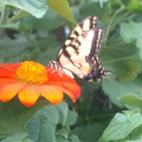Janet Fuller Photo 19