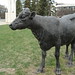 Regina Potter Photo 12