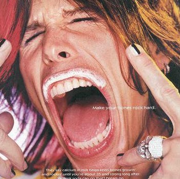 Steven Tyler Photo 12