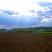 Angel Fields Photo 35