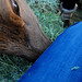 Vicki Donnelly Photo 20