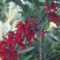 Nancy Travers Photo 26