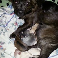 Angela Arndt Photo 6