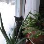 Debra Bernard Photo 16