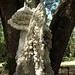 Debra Lambert Photo 13