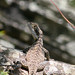Harold Reid Photo 36