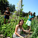 Katherine Farmer Photo 24