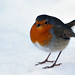 Robin Slater Photo 12