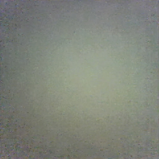 Rachel Embree Photo 2