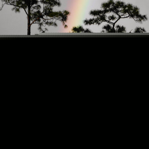 Mary Culbertson Photo 28