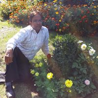 Nasir Ansari Photo 23