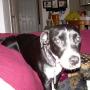 John Vann Photo 13