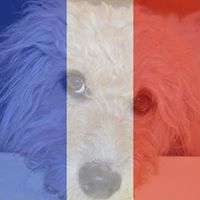 Christine Denis Photo 9