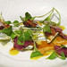 Monte Lamb Photo 6
