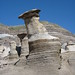 Richard Janzen Photo 23