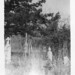 Charles Shackelford Photo 33