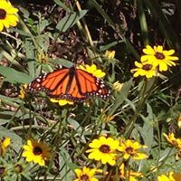 Terry Lytle Photo 12