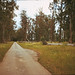 Elisa Bell Photo 22