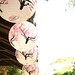 Stephanie Hoang Photo 16