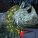 Katherine Weems Photo 8