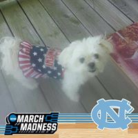 Connie Chaney Photo 23