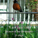 Robin Card Photo 19