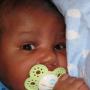 Julius Chapman Photo 14