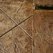 Step Brown Photo 12