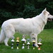 Dawn Berger Photo 19