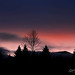 Randall Welch Photo 17