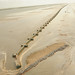 Jeffery Lang Photo 23
