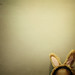 Daisy Heard Photo 3