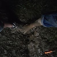 Robert Hays Photo 32 Robert Hays Photo 32