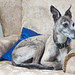 Jenny Krause Photo 14
