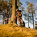 Jeremiah Powers Photo 19