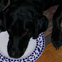 Lisa Digby Photo 4