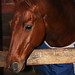 Stephen Hunter Photo 24
