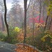 Virginia Mashburn Photo 9