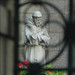 Francis Patrick Photo 29