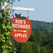 Susan Roe Photo 39