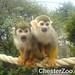 Amy Brogan Photo 16