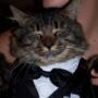 Michael Bright Photo 8