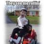 James Goings Photo 13