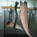William Glass Photo 20
