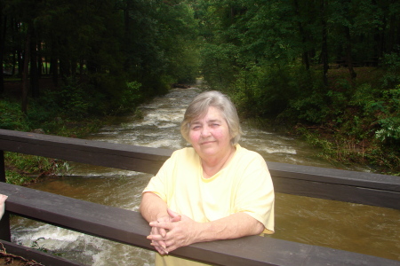 Patricia Farley Photo 18