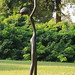 Ruth Bloch Photo 17